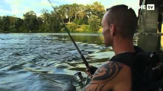 Pêche du silure sur la Garonne  Globe Fishing  LotetGaronne 55 [upl. by Frodi]