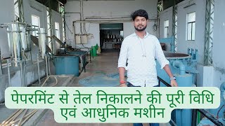 How to extract PepperMint oil from crop Full Process  पेपरमिंट से तेल निकालने का आधुनिक मशीन [upl. by Clayborn]