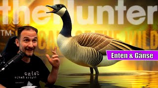 theHunter Call of the Wild  Neustart 2024  Enten und Gänse Revontuli Coast mit Labrador E Caller [upl. by Letram663]