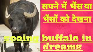 Seeing buffalo in dreamssapne me bhains bhainsa ya bhainso ko dekhna [upl. by Ehpotsirhc]