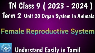 Female Reproductive System Class 9 Science Term 2 Unit 20 Organ Systems in Animals [upl. by Aliehs]