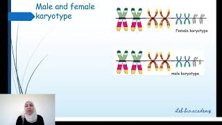 Karyotype and criteria to classify chromosomes [upl. by Felecia402]