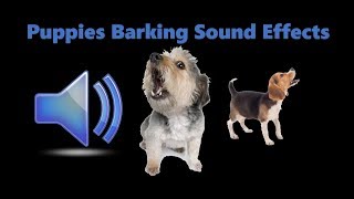 100 GUARANTEED TO MAKE YOUR Puppy HOWL Barking Sound Effect [upl. by Suanne]