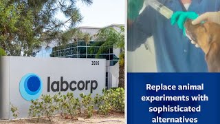 LABCORP STOP TORTURING PUPS amp KILLING THEM Animal Experimentation Explained What Does LABCORP do [upl. by Donegan688]