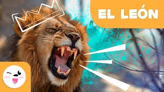 EL LEÓN 🦁 Animales para niños 🌳 Episodio 1 [upl. by Annim]