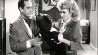 The Beverly Hillbillies  Season 1 Episode 11 1962  Elly Races Jethrine  Paul Henning [upl. by Schulz]