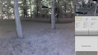 Rural Bird Feeders amp Night Critter Cam  Live [upl. by Gine262]