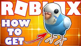 BONUS ITEM How To Get the Blue Budgie Buddy in Roblox  Bonus Catalog Item for Robux Card Purchase [upl. by Edson]