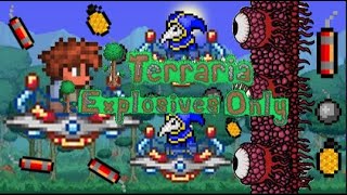 I beat Terraria with explosives only [upl. by Folsom72]