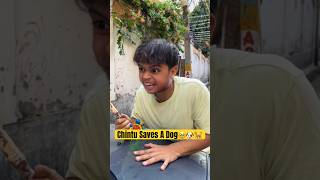 Chintu Saves A Dog 🥹🐶🐕 trending shorts viralshorts [upl. by Barry]