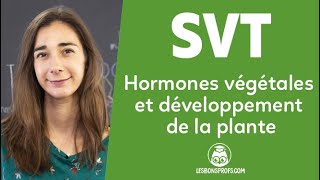 Hormones végétales et développement de la plante  SVT  Terminale  Les Bons Profs [upl. by Elbart]