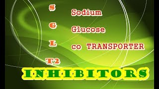 SGLT2 inhibitors gliflozins in short [upl. by Nooj309]