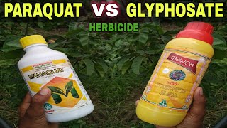 Paraquat Dichloride Vs Glyphosate  Contact Vs Systemic Herbicide used in Agriculture [upl. by Sessylu]