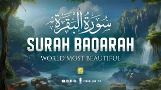 Surah Al Baqarah Full سورة البقره  Relaxing Calming amp Heart Touching Quran  Zikrullah TV [upl. by Kennett]