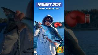 👑 Chinook Salmon 🍣 Vertical Jigging  Pt Wilson Dart 🎯 fishing tacoma comedy [upl. by Baskett]