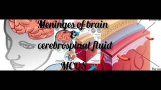 Menignes of brain amp Cerebrospinal fluid MCQS  Biobites MCQS For NEETamp NCRTS DrRafique Pitafi [upl. by Lalaj]