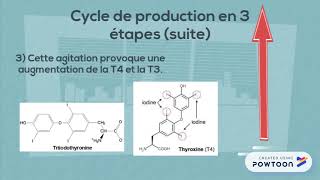 Hormones thyroïdienne [upl. by Ahsinut224]
