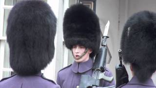 Clarence House Guards London [upl. by Columbyne371]