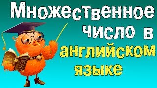 Грамматика английского языкаМножественное число в английском языке [upl. by Arehahs]