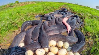 Best fishing skill catch a lot of fish by hand at field Catch fish a lot Unique Fishing Skill [upl. by Primaveras]