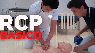 ✅Como hacer RCP BASICO  REANIMACION CARDIOPULMONAR ❤️ Primeros Auxilios [upl. by Acinorrev727]