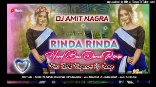 Rinda Rinda ।। Theth Nagpuri Dj Song ।। Thethnagpurisong DJ AMIT NAGRA ।। Nagpuri Video [upl. by Ilam]