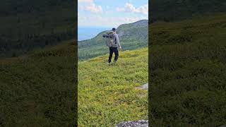 Hiking Scandinavian mountains Oldklumpen Jämtland shorts nordic scandinavia mountains [upl. by Navap]