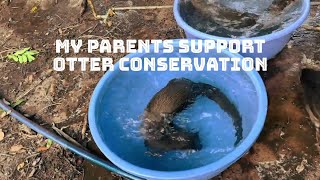 What Did My Parents Do To Help Me Protect Otters [upl. by Arhna]