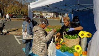 Independence Blue Cross offers unique programming focused on healthy aging and holistic health [upl. by Della972]