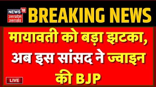 🟢Breaking News Live  Mayawati को बड़ा झटका अब इस सांसद ने ज्वाइन की BJP  Breaking News  BSP [upl. by Cole779]