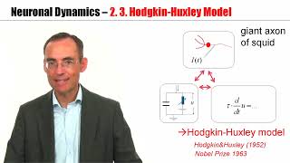 CNS23  HodgkinHuxley Model [upl. by Emeric]