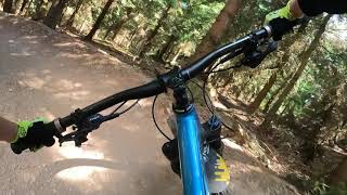 Family Bike Park Zieleniec  BomBel  2023  MTB in Poland [upl. by Claman260]