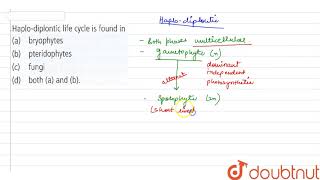 Haplodiplontic life cycle is found in [upl. by Aleira]