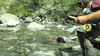 Pêche à la mouche  Pêche en sèche en torrent de montagne [upl. by Holmen]