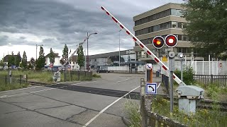 Spoorwegovergang Mertzwiller F  Railroad crossing  Passage à niveau [upl. by Anircam]