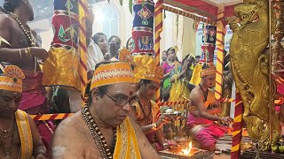 Ealing Amman Temple Maha Kumbhabhishekam Evening Initiation Ceremony29052023Part 2 [upl. by Cyrill]