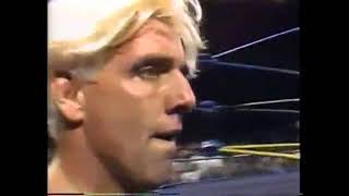 WCW Flair Arn Windham vs Sting Flyin Brian and El Gigante WCW May 1991 [upl. by Nahttam273]