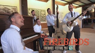 Sandy The Firebirds FIREBIRDS FESTIVAL bopflix sessions BOPFLIX [upl. by Olenka]