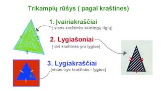 Trikampių rūšys pagal kraštines [upl. by Atikin]