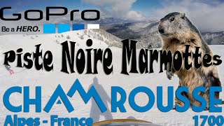 Chamrousse piste noire marmottes [upl. by Lyrehs]