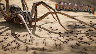 The KILLER Spider Returns  Empires Of The Undergrowth  Ep36 [upl. by Asyram]