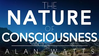 ALAN WATTS  You Are The Universe  The Nature of Consciousness philosophy [upl. by Selie715]