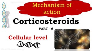 Corticosteroids Part 6  Mechanism of action  Cellular level  Glucocorticoid Responsive Element [upl. by Scharaga659]