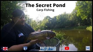 The Secret Pond  Carp Fishing on the Waggler  BagUpTV  Pleasure Fishing 2020 [upl. by Angelo]