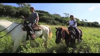 Horseback Riding at Gunstock Ranch  Oahu Hawaii [upl. by Noskcire907]