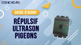 👓 MEILLEUR RÉPULSIF ULTRASON À PIGEON  Comparatif amp Guide dachat [upl. by Atteuqaj908]