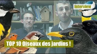 TOP 10 oiseaux des jardins [upl. by Rayna]