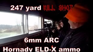 247 yard deer kill shot using a 6mm ARC shooting Hornady ELDX ammo 2023 Indiana Deer Season [upl. by Barkley]