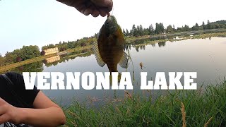 Oregon Lake Tour Episode 8 Vernonia Lake Columbia County Oregon [upl. by Gninnahc]