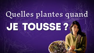 Toux grasse ou toux sèche  Quelles plantes [upl. by Monreal]